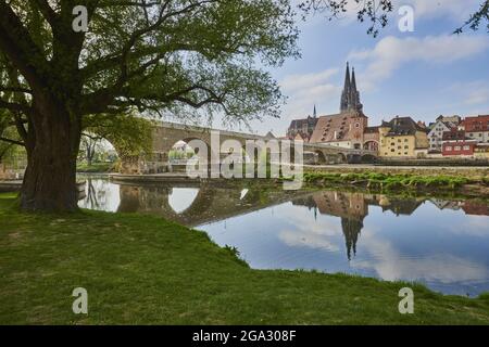 Blick über die Donau mit der alten Steinbrücke aus dem 12. Jahrhundert und dem gotischen Petersdom vom grasbewachsenen Ufer der Jahninsel im... Stockfoto