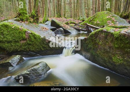 Ein Bach, der durch den Wald im Naturschutzgebiet Hollental fließt; Bayern, Deutschland Stockfoto