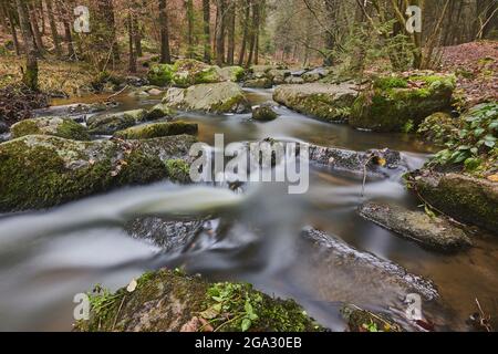 Ein Bach, der durch den Wald im Naturschutzgebiet Hollental fließt; Bayern, Deutschland Stockfoto