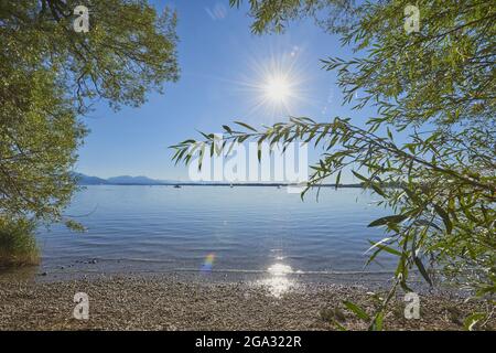 Chiemsee, mit hellem Sonnenlicht, das an der Wasseroberfläche am Ufer reflektiert wird; Bayern, Deutschland Stockfoto