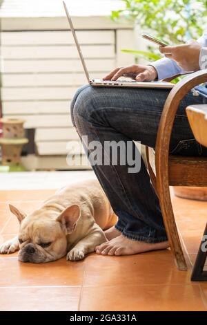 Vertikale Aufnahme eines Mannes, der von zu Hause aus mit seiner französischen Bulldogge unter seinen Beinen arbeitet Stockfoto