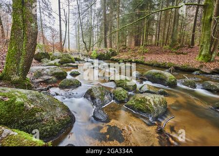 Ein Bach, der durch den Wald im Naturschutzgebiet Hollental fließt; Bayern, Deutschland Stockfoto