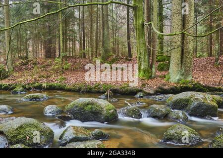 Ein Bach, der durch den Wald im Naturschutzgebiet Hollental fließt; Bayern, Deutschland Stockfoto