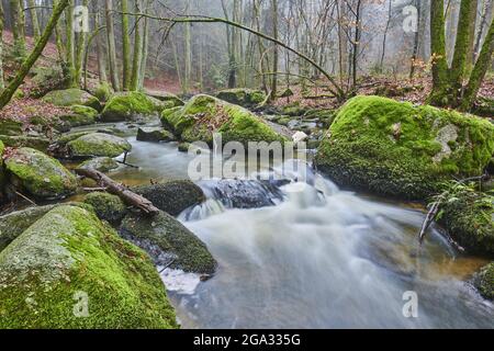 Ein Bach, der durch den Wald im Naturschutzgebiet Hollental fließt; Bayern, Deutschland Stockfoto