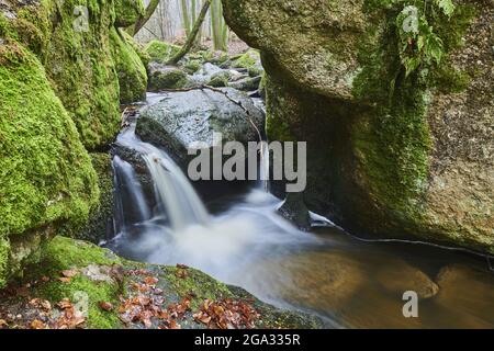 Ein Bach, der durch den Wald im Naturschutzgebiet Hollental fließt; Bayern, Deutschland Stockfoto