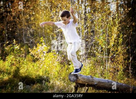 Ein kleiner Junge springt während der Herbstsaison in einem Stadtpark von einem Baumstamm ab; Edmonton, Alberta, Kanada Stockfoto