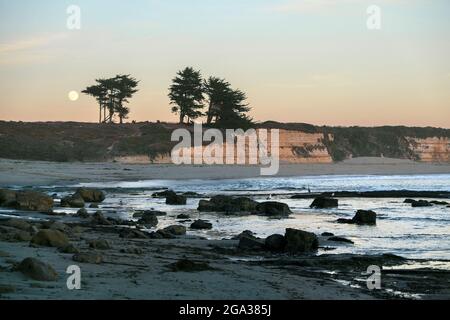 Mond- und Zypressenbäume am Four Mile Beach an der Küste von Zentralkalifornien, USA; Santa Cruz, Kalifornien, USA Stockfoto