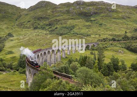 Der Jacobite Train, berühmt durch Harry Potter Filme, fährt über das Glenfinnan Viadukt in Glenfinnan, Schottland Stockfoto