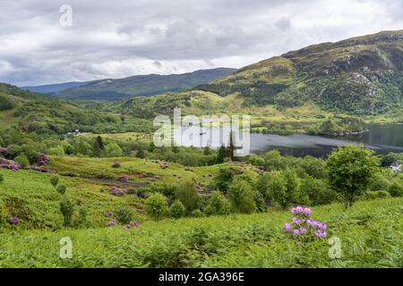 Das Glenfinnan Monument ist von einer Wanderroute in der Nähe von Glenfinnan, Schottland, und Loch Shiel, Glenfinnan, Schottland, aus zu sehen Stockfoto