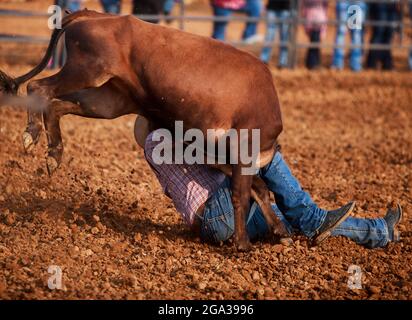 3. Juli 2021; Bloomington, Indiana: 3 Bar J Rodeo, 2. Juli auf der Monroe County Fair. (Foto von Jeremy Hogan/The Bloomingtonian) Stockfoto