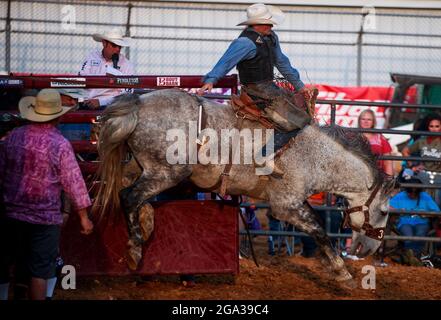 3. Juli 2021; Bloomington, Indiana: 3 Bar J Rodeo, 2. Juli auf der Monroe County Fair. (Foto von Jeremy Hogan/The Bloomingtonian) Stockfoto