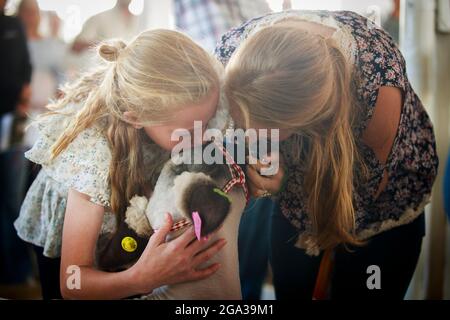 3. Juli 2021; Bloomington, Indiana: Ein Nutztier wird geküsst Auf Wiedersehen als 4H Tiere am Samstag, 3. Juli auf der Monroe County Fair versteigert werden. Stockfoto