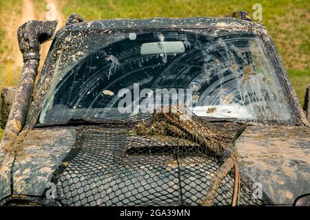 Auto Heckscheibe mit einer Schicht von Sumpf nach dem Regen