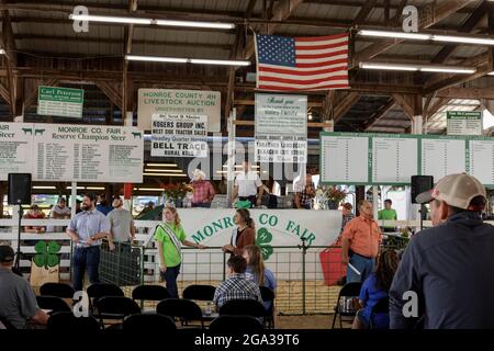 3. Juli 2021; Bloomington, Indiana: 4H Tiere werden am Samstag, 3. Juli, auf der Monroe County Fair versteigert. Stockfoto