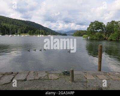 Blick auf den ruhigen Lake Windermere, der von der Autofähre in Far Sawrey auf das östliche Ufer blickt. Stockfoto