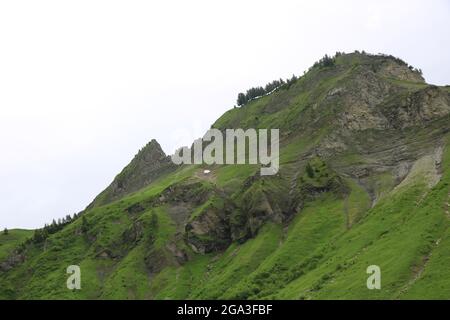 Grüne Wiesen und Felsformationen zwischen Planalp und Brienzer Rothorn. Stockfoto