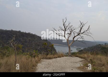 Nüchterne Vegetation um Staubwege in Capitólio, MG - Brasilien. Stockfoto