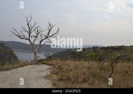 Nüchterne Vegetation um Staubwege in Capitólio, MG - Brasilien. Stockfoto