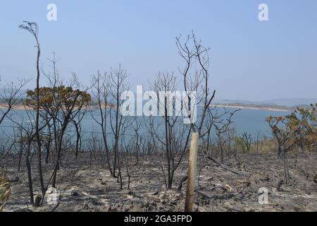 Nüchterne Vegetation um Staubwege in Capitólio, MG - Brasilien. Stockfoto