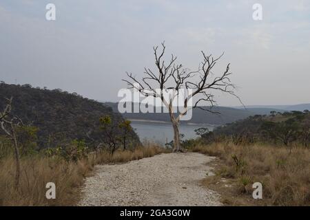 Nüchterne Vegetation um Staubwege in Capitólio, MG - Brasilien. Stockfoto