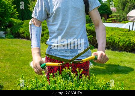 Ein Mann mit einem amputierten Arm und einer Prothese trimmt Büsche in einem Garten Stockfoto