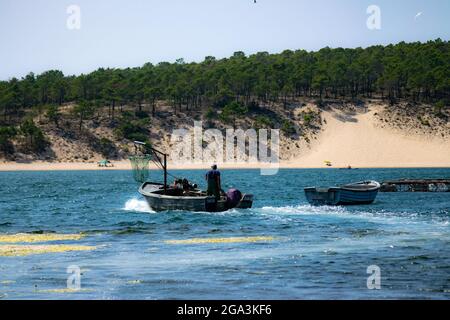 Lagoa („Lagune“) de Albufeira liegt auf der westlichen Seite der Halbinsel Setúbal, zwischen Caparica und Espichel Cap. Fischer, der mit Hund arbeitet Stockfoto