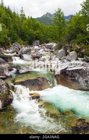 Wasserfälle am Bach Studeny potok in der Hohen Tatra, Karpaten, Slowakei Stockfoto