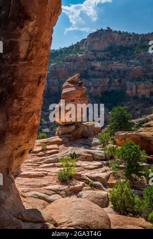 Felsformationen und farbenfrohe Klippen bieten eine majestätische Aussicht vom Abgrund der Devil’s Kitchen am Colorado National Monument Stockfoto