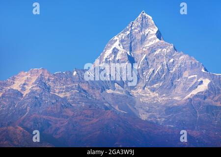 Blaue Ansicht des Mount Machhapuchhare, Annapurna Gegend, Nepal himalaya Berge Stockfoto