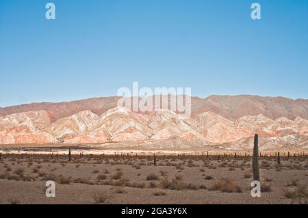 Parque Nacional Los Cardones. Salta, Argentinien Stockfoto