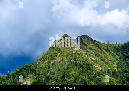 Chimney Tops, Great Smoky Mountains National Park, TN Stockfoto