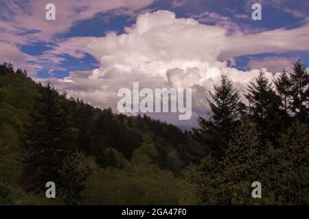 Wolken in den Great Smoky Mountains Stockfoto