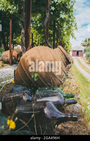 Alte Töpfe draußen im rustikalen Weinberg Stockfoto