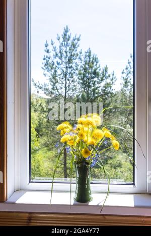 Schönes Bouquet von gelben Dandelionen in einer Tonvase, die auf der Fensterbank am offenen Fenster in der Landschaft steht Stockfoto