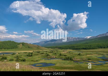 Herrlicher Sommer-Blick von oben auf wunderschöne Seen und Sümpfe, Bäume, Berge und Wälder auf den Hängen vor dem Hintergrund eines blauen Himmels mit Wolken. Altai Stockfoto