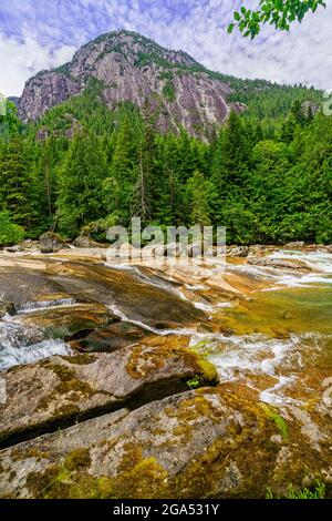 Flussufer entlang des Kingcome River Valley im Musgmagw Dzawada'enuwx Territory, First Nations Territory, British Columbia, Kanada Stockfoto