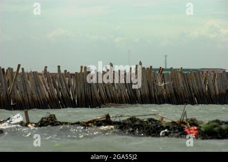 Bambusstangen auf dem Küstenwasser in der Nähe der Mündung des Jakarta Flutkanals, der für die Landgewinnung verwendet werden soll. Blick von der Küste von Bekasi, West Java, Indonesien nach Jakarta. Stockfoto