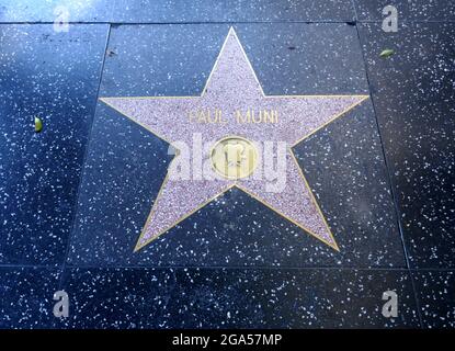 Hollywood, Kalifornien, USA 28. Juli 2021 EIN allgemeiner Blick auf die Atmosphäre von Schauspieler Paul Munis Star auf dem Hollywood Walk of Fame am 28. Juli 2021 in Hollywood, Kalifornien, USA. Foto von Barry King/Alamy Stockfoto Stockfoto