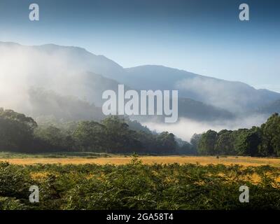 Die Hauptpalette reicht von Geehi Flats, Kosciuszko National Park, New South Wales, Australien Stockfoto