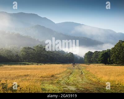 Die Hauptpalette reicht von Geehi Flats, Kosciuszko National Park, New South Wales, Australien Stockfoto