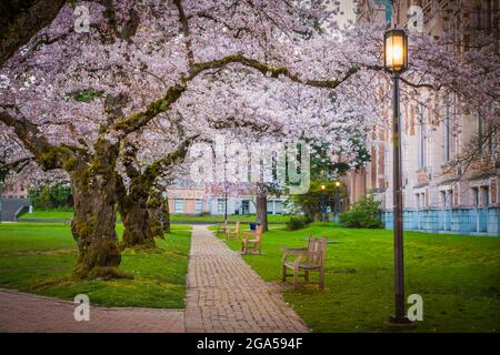 Die University of Washington (allgemein als Washington oder UDub bezeichnet) ist eine öffentliche Forschungsuniversität in Seattle, Washington, USA Stockfoto