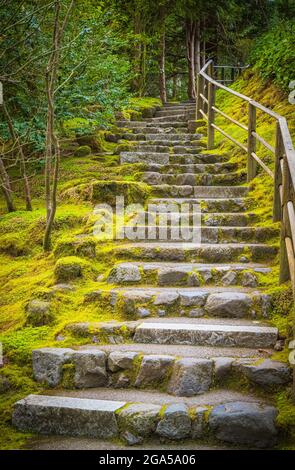 Der Portland Japanische Garten ist ein traditioneller japanischer Garten, 12 Hektar, in Washington Park im Westen Hügel von Portland, Oregon Stockfoto