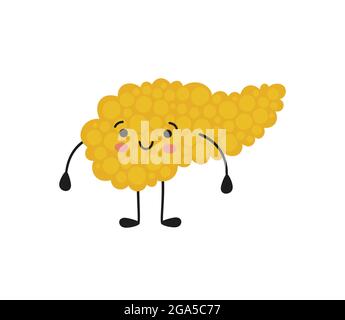 Pankreas kawaii gesunden Charakter mit Lächeln. Zeichnung einer gesunden Bauchspeicheldrüse. Isolierte Vektorgrafik auf weißem Hintergrund Stock Vektor