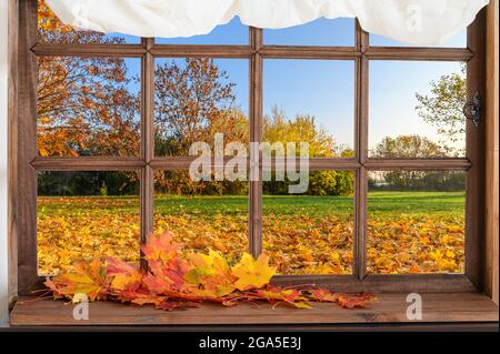 Altes Holzfenster und Blick auf den Innenhof mit gelb fallenden Blättern Stockfoto