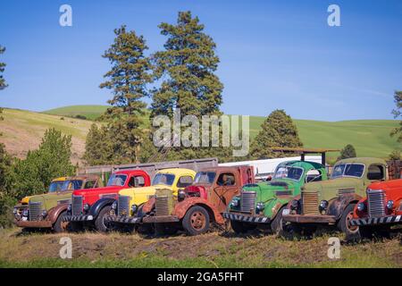 Altes Stallgebäude und Lastwagen im landwirtschaftlichen Palouse-Gebiet im Osten des Staates Washington. Der Palouse ist eine Region im Nordwesten der Vereinigten Staaten, Stockfoto