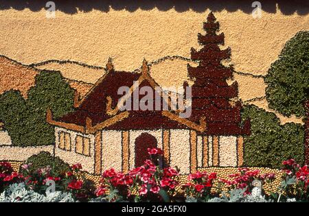 Thailand: Ein buddhistischer Tempel schmückt einen Blumenwagen, Chiang Mai Flower Festival Parade, Chiang Mai, Nordthailand. Chiang Mai ist als „die Rose des Nordens“ bekannt, blüht aber im Februar, gegen Ende der kühlen Jahreszeit, wirklich in Blüte. Jedes Jahr am ersten Februarwochenende wird das Chiang Mai Blumenfestival eröffnet. Die Blumenbeete in den öffentlichen Bereichen rund um die Stadt sind zu dieser Jahreszeit besonders schön. Überall gibt es wunderschöne Darstellungen von gelben und weißen Chrysanthemen und die Damaszenrose, eine Sorte, die nur in Chiang Mai zu finden ist. Stockfoto