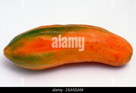 Welt: Die Papaya (von Carib über Spanisch), Papaya oder Papaya ist die Frucht der Pflanze Carica paya, der einzigen Art in der Gattung Carica der Pflanzenfamilie Caricaceae. Sie stammt aus den Tropen Amerikas, vielleicht aus dem südlichen Mexiko und dem benachbarten Mittelamerika. Es wurde zum ersten Mal in Mexiko mehrere Jahrhunderte vor dem Aufkommen der mesoamerikanischen klassischen Zivilisationen angebaut. Stockfoto