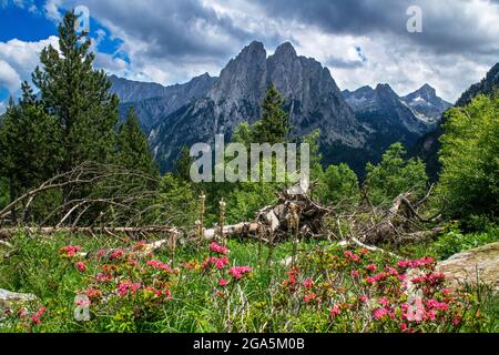 Encantats Gipfel vom Weg zwischen Sant Maurici und Ratera Seen gesehen, in einem Frühlingsnachmittag Aiguestortes i Sant Maurici Nationalpark, Pyrenäen. Stockfoto