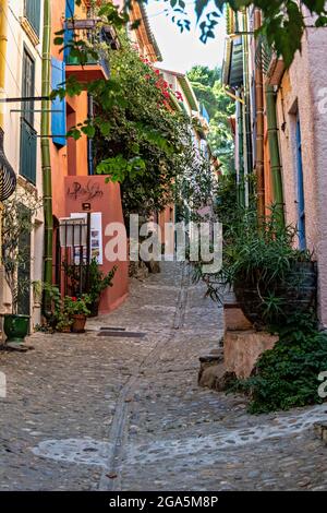 Straßen in der Altstadt, Collioure, Pyrenees-Orientales, Languedoc-Roussillon, Frankreich. Stockfoto