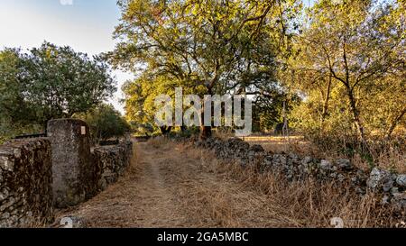 San Pedro de los Majarretes, Valencia de Alcantara, Caceres, Extremadura, Spanien. Stockfoto